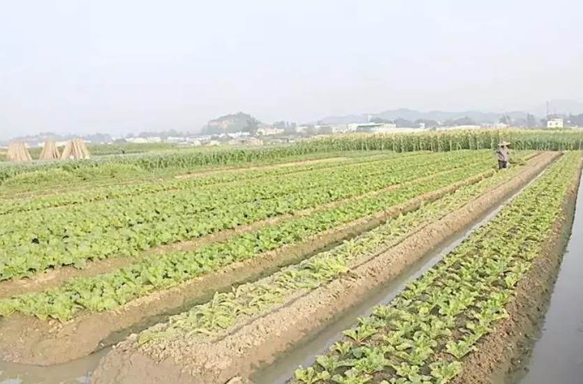 肥水不流外人田意思