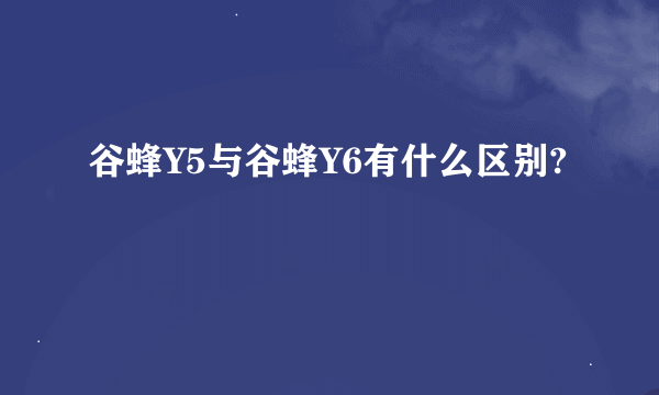 谷蜂Y5与谷蜂Y6有什么区别?