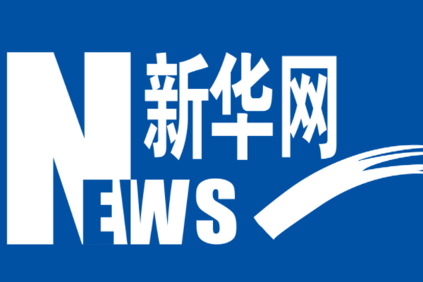 新华网子公司有哪些