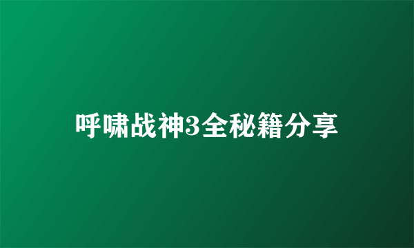 呼啸战神3全秘籍分享
