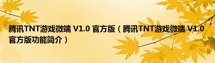 腾讯TNT游戏微端V10官方版腾讯TNT游戏微端V10官方版功能简介