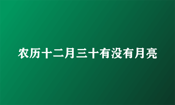 农历十二月三十有没有月亮