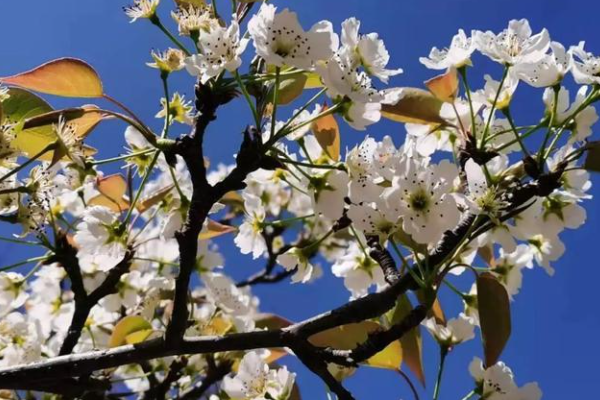 人随春好，春与人宜，是什么意思？