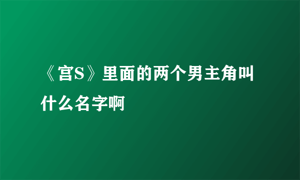 《宫S》里面的两个男主角叫什么名字啊