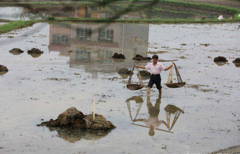 肥水不流外人田意思