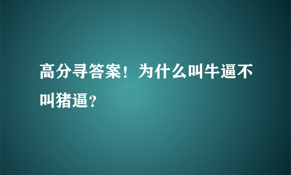 高分寻答案！为什么叫牛逼不叫猪逼？