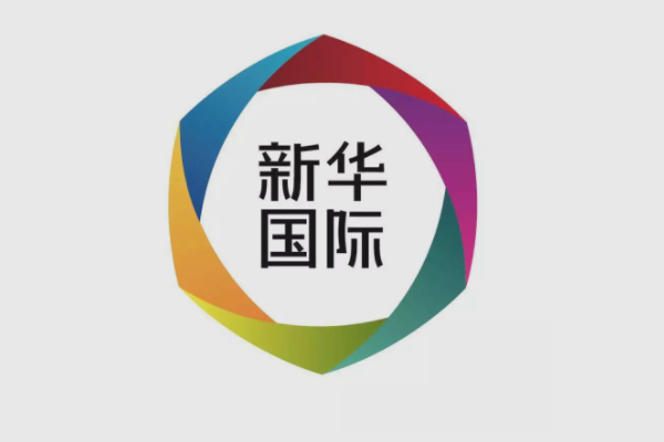 新华网子公司有哪些
