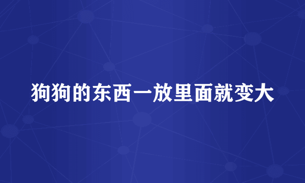 狗狗的东西一放里面就变大
