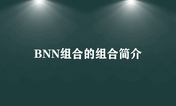 BNN组合的组合简介