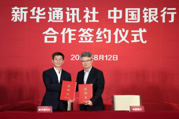 新华网子公司有哪些