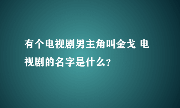 有个电视剧男主角叫金戈 电视剧的名字是什么？