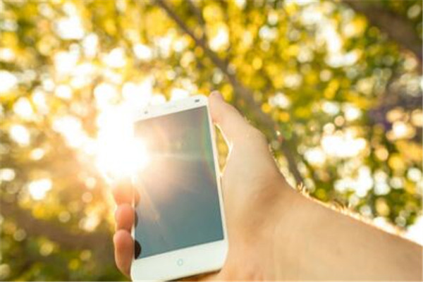 四川男子盗窃手机转账被抓后吐槽失主，是否该对这种毫无悔意的人进行严惩？