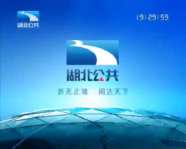 湖北生活频道怎么回看教育专题节日