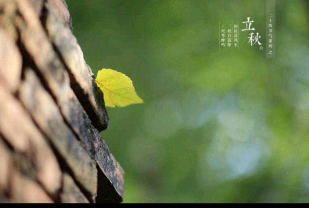 “七月流火,八月未央,九月授衣”是什么意思?