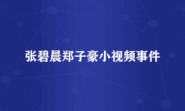 张碧晨郑子豪小视频事件