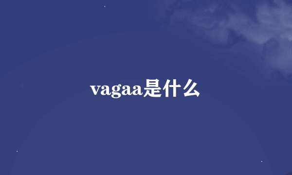 vagaa是什么