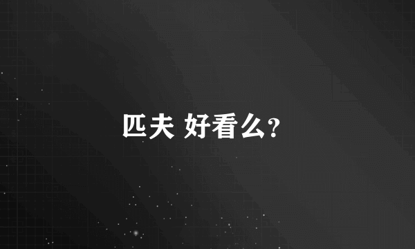 匹夫 好看么？