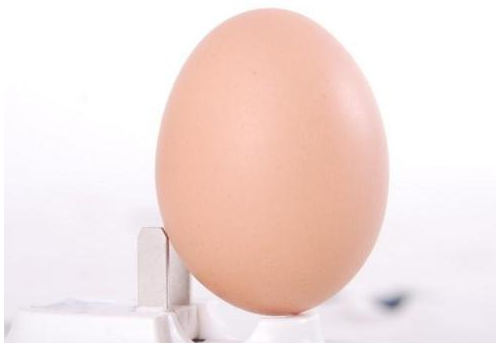 生鸡蛋和熟鸡蛋哪个转的时间长？