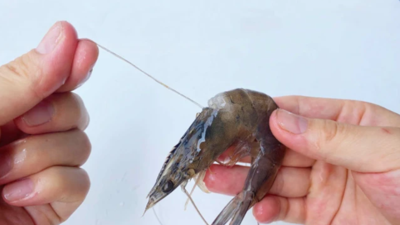 挑虾线什么意思？