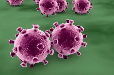 临沂1人无故不参加核酸,被罚两百,配合防疫工作是否是每个国人的义务?