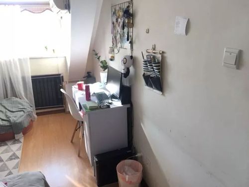 广东男子晒空中阁楼出租房:搭梯回家,2平米的出租屋扎痛了谁的心?