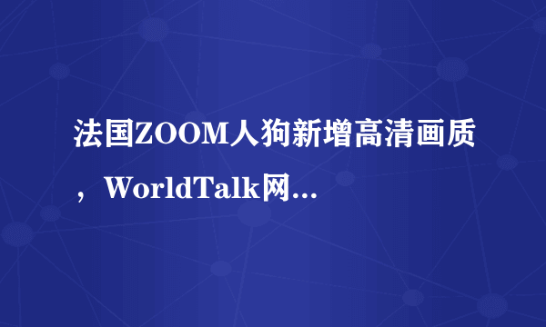 法国ZOOM人狗新增高清画质，WorldTalk网友詹妮弗：画面非常棒！