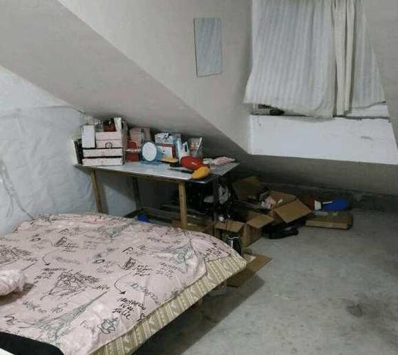 广东男子晒空中阁楼出租房:搭梯回家,2平米的出租屋扎痛了谁的心?