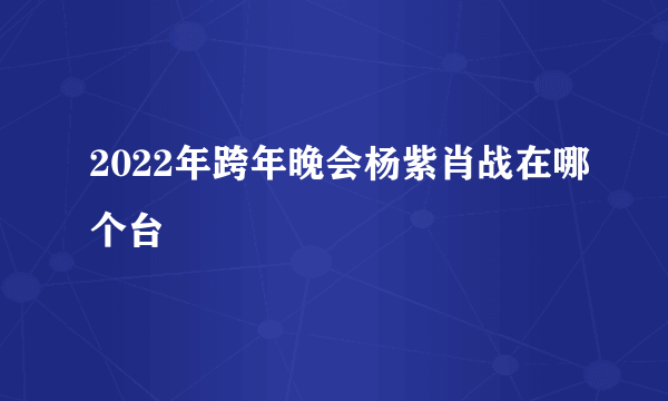 2022年跨年晚会杨紫肖战在哪个台