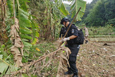 广西藤县村民称坠机现场树上挂着大量布条，现场还留下了哪些物品？
