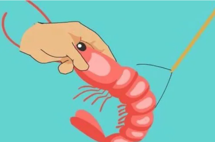 挑虾线什么意思？