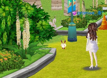 炫舞红色玩偶兔在哪里图片