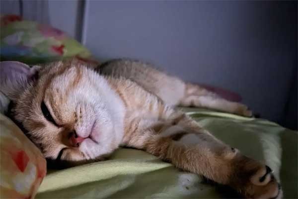 销魂意思是什么