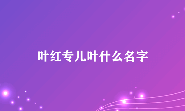叶红专儿叶什么名字