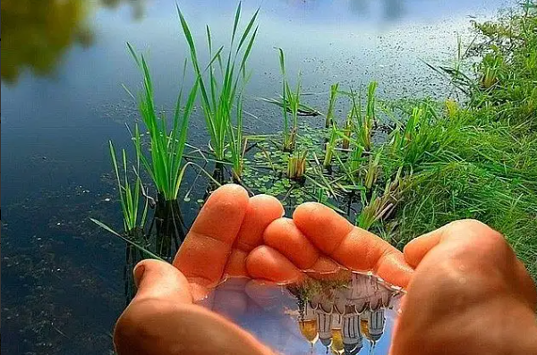 难得一见的意思