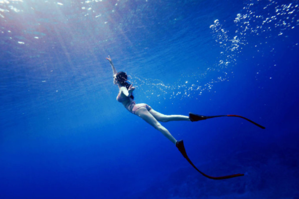 自由潜水证书PADI和AIDA有什么区别？