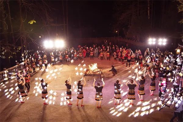 丰年经继拇5详解及影响