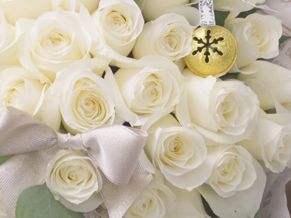 白玫瑰为啥不能随便送人