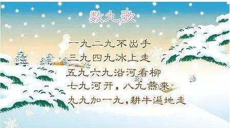 “四九”是什么意思？