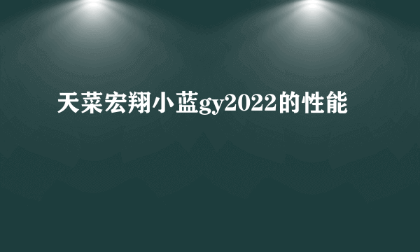 天菜宏翔小蓝gy2022的性能