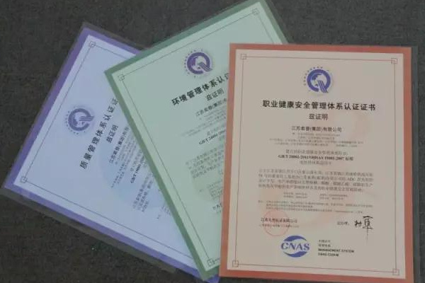 HSE是什么意思？