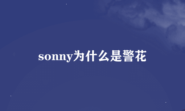 sonny为什么是警花