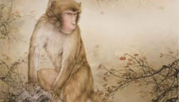 68年属什么生肖多少岁