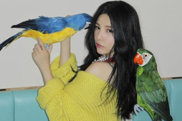 本兮是怎么死的?