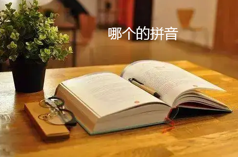 哪个的拼音