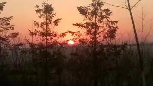 朋友去世，是否删除微信、 QQ等联系方式