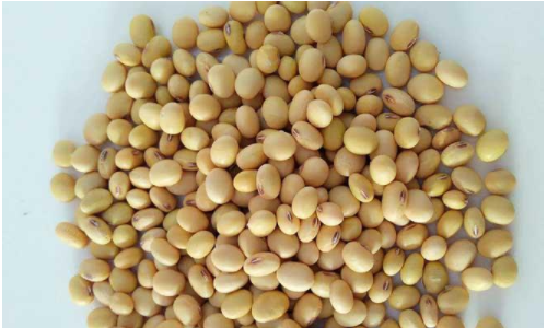 42是什么意思啊？