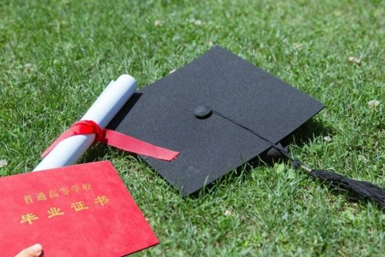 五种专科不建议专升本