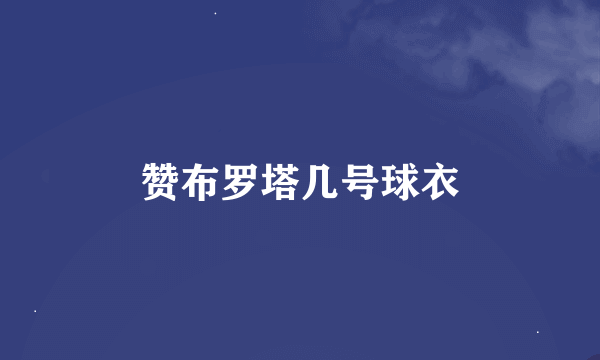 赞布罗塔几号球衣