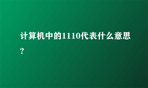 计算机中的1110代表什么意思？