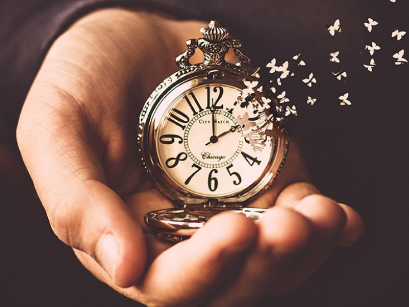 感慨二十年唯美句子